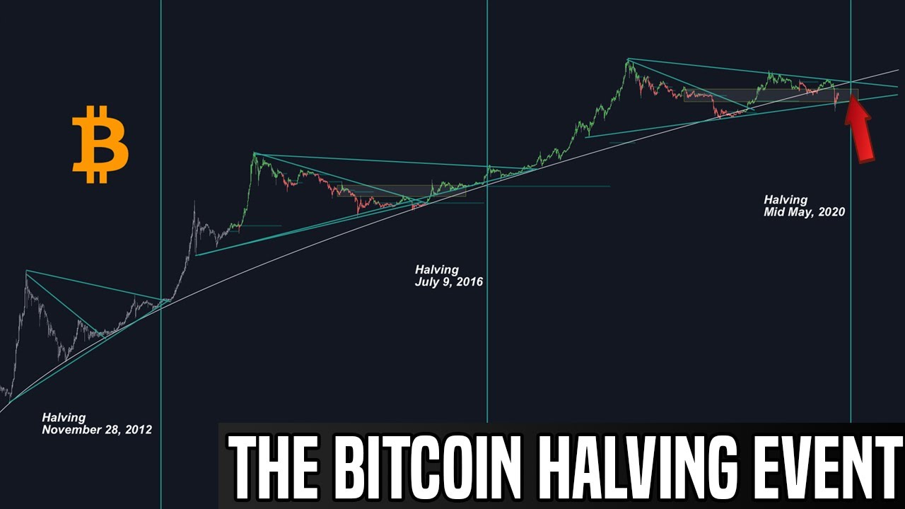 Bitcoin Halving Day
