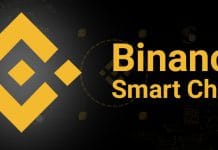 binance smart chain (BSC) dan token bep20