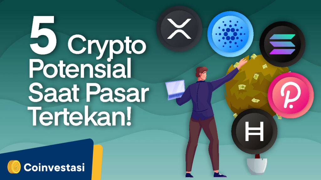Learn 5 crypto код. Potensial.
