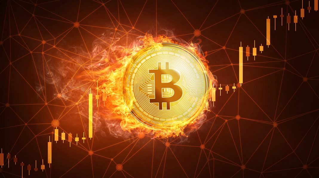 Apa Itu Burning Coin Crypto Apa Manfaat Dan Bagaimana Cara Kerjanya