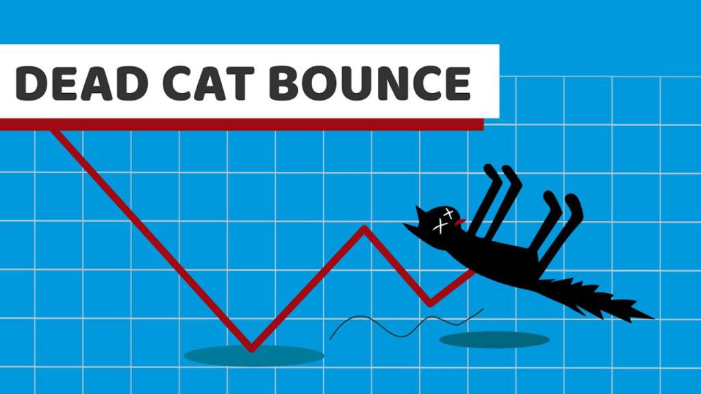 Cara Mengenali Dead Cat Bounce