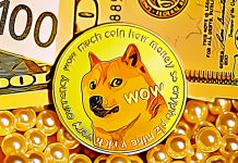 6 Kripto Ini Bisa Kalahkan Dogecoin (DOGE) di Tahun 2022?