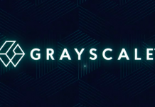 CEO Grayscale: 5 Tren Crypto yang Harus Diamati Tahun Ini