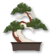 jenis tanaman bonsai sharimiki