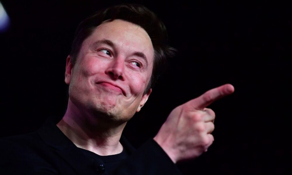 Elon Musk usul Twitter dan Tesla terima pembayaran pakai Dogecoin. Foto: Getty Images.