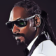 NFT Snoop Dogg Resmi Diterbitkan di Blockchain Cardano (ADA)