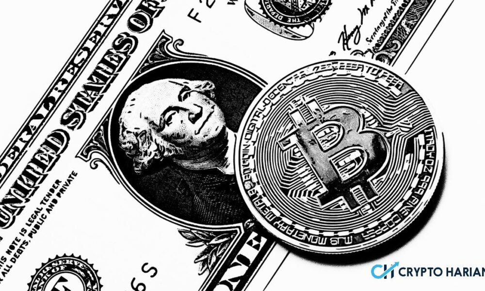 Ilustrasi bitcoin.