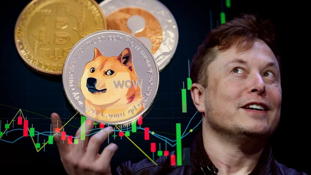 Elon Musk menyarankan Twitter dan Tesla menerima pembayaran menggunakan Dogecoin.  Foto: PCmag.