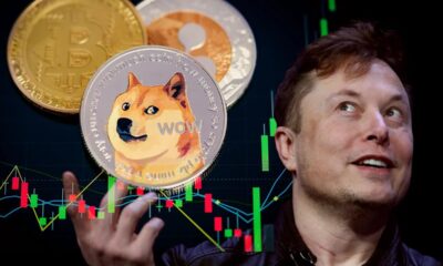 Elon Musk usul Twitter dan Tesla terima pembayaran pakai Dogecoin. Foto: PCmag.