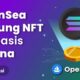 NFT Solana Resmi Terdaftar di OpenSea