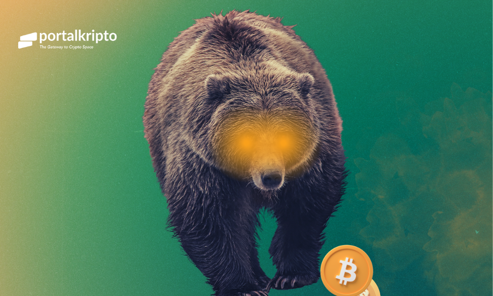 Bitcoin Kembali Turun ke Harga di Bawah $ 20 Ribu
