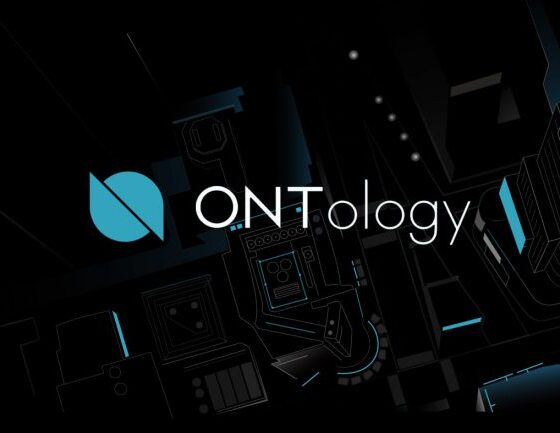 Ontology Gas (ONG)