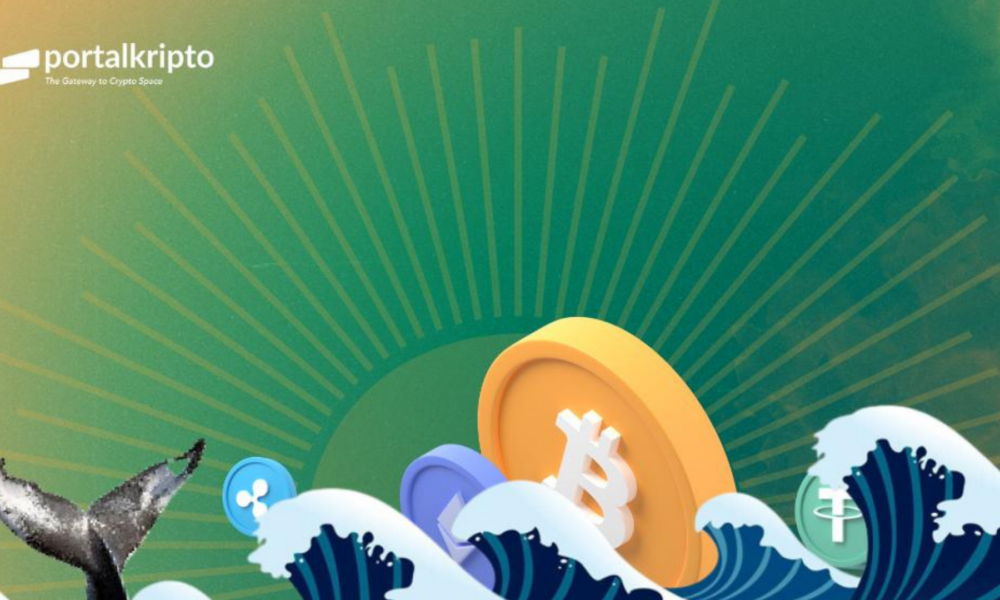 Pelaku Industri Kripto Optimis Badai akan Berlalu