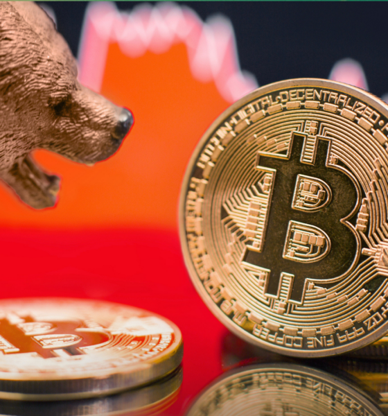 Ilustrasi bear market. Sumber: Shutterstock.