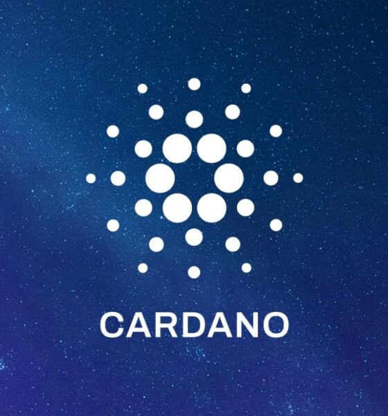 Ilustrasi Cardano. Sumber: Pixabay.