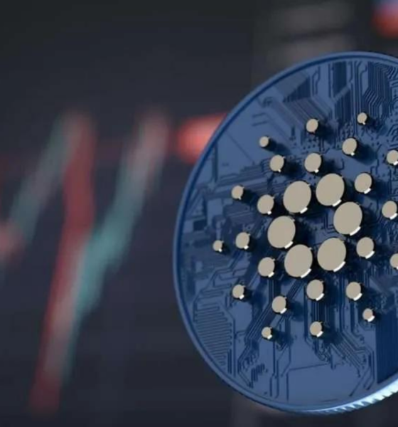 Ilustrasi Cardano. Sumber: Pixabay.