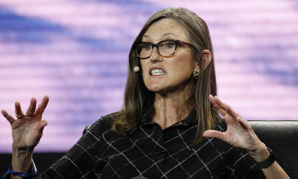 CEO Ark Invest, Cathie Wood. SUmber: Getty Images.