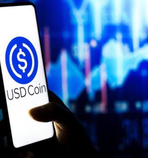 Ilustrasi stablecoin USDC. SUmber: Shutterstock.