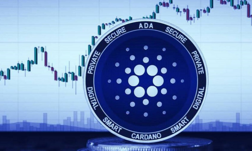 Banyak Holder Cardano (ADA) Jadi Investor Jangka Panjang, Sinyal Apa?