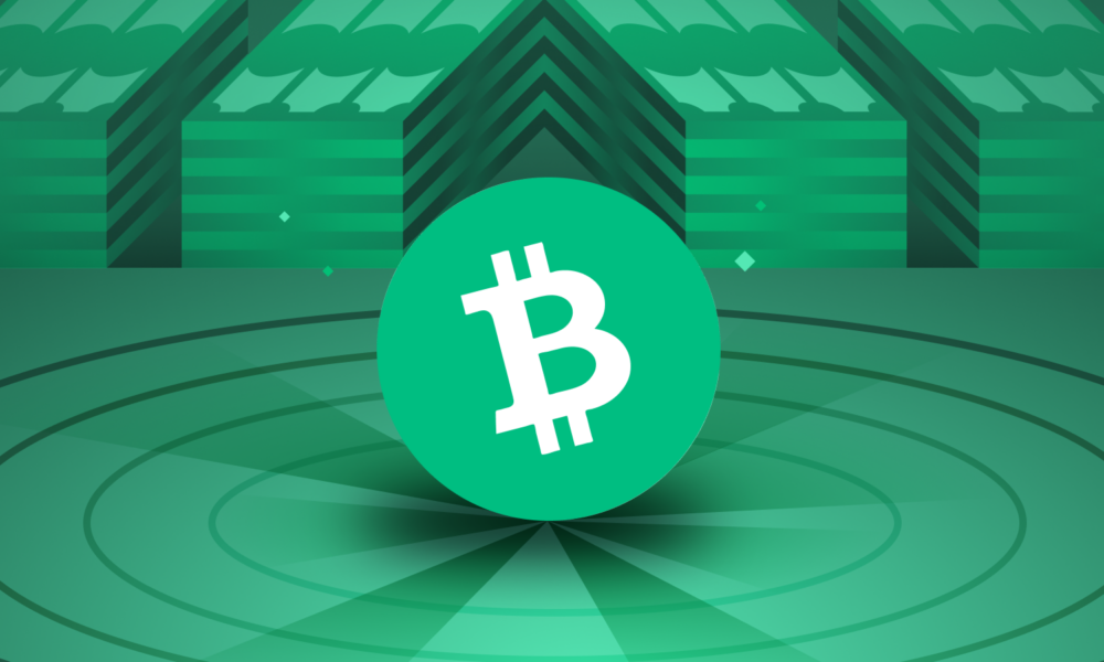 Ilustrasi Bitcoin Cash. Sumber: Binance Academy.