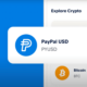 Ilustrasi stablecoin PayPal USD (PYUSD). Sumber: Paypal.