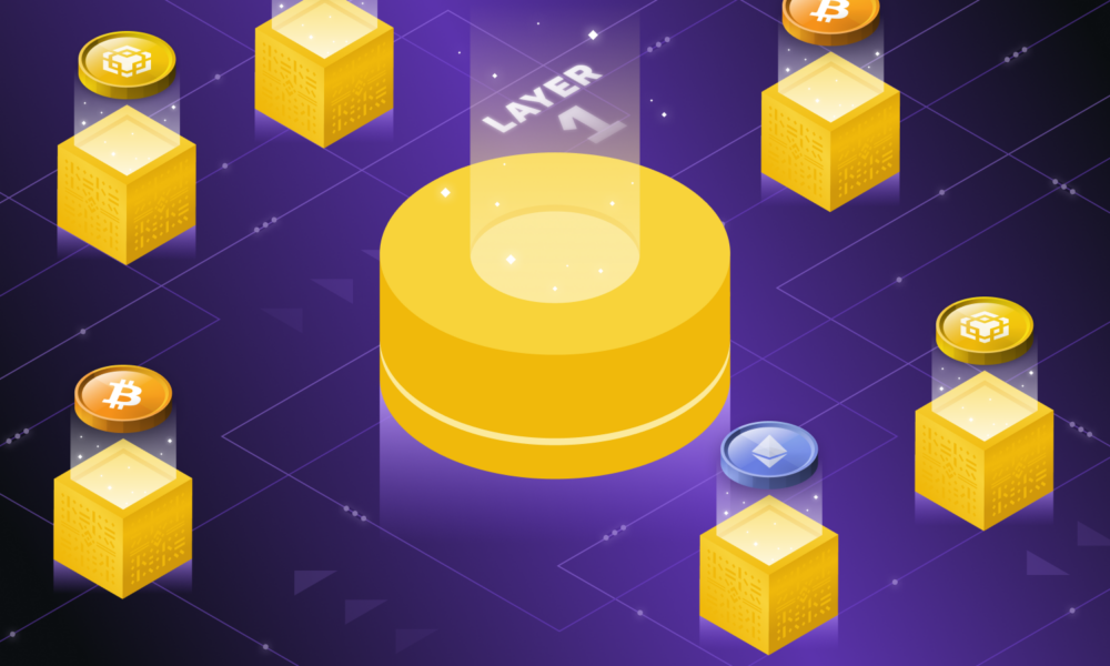 Mengenal Lebih Dekat Lapisan 1 dalam Dunia Blockchain. Sumber: Binance Academy.