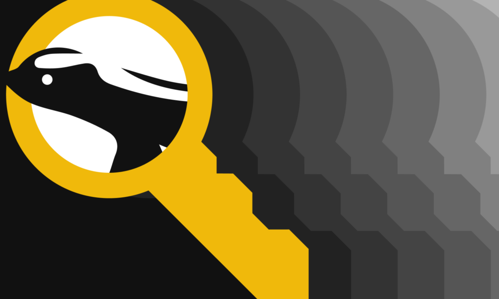 Panduan Esensial Mengenai Proof of Keys. Sumber: Binance Academy.
