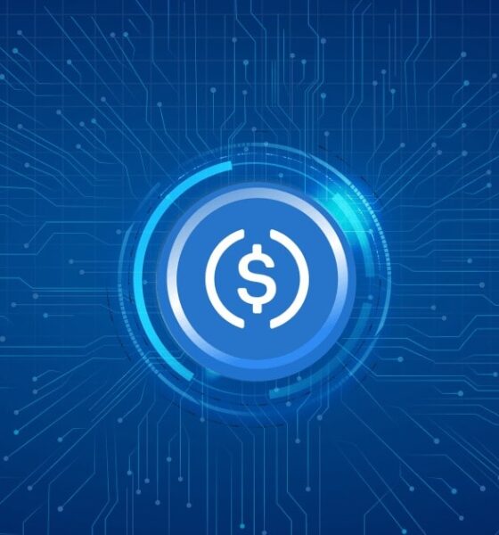Ilustrasi stablecoin USDC. Sumber: Mudrex.