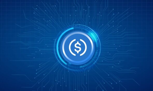 Ilustrasi stablecoin USDC. Sumber: Mudrex.