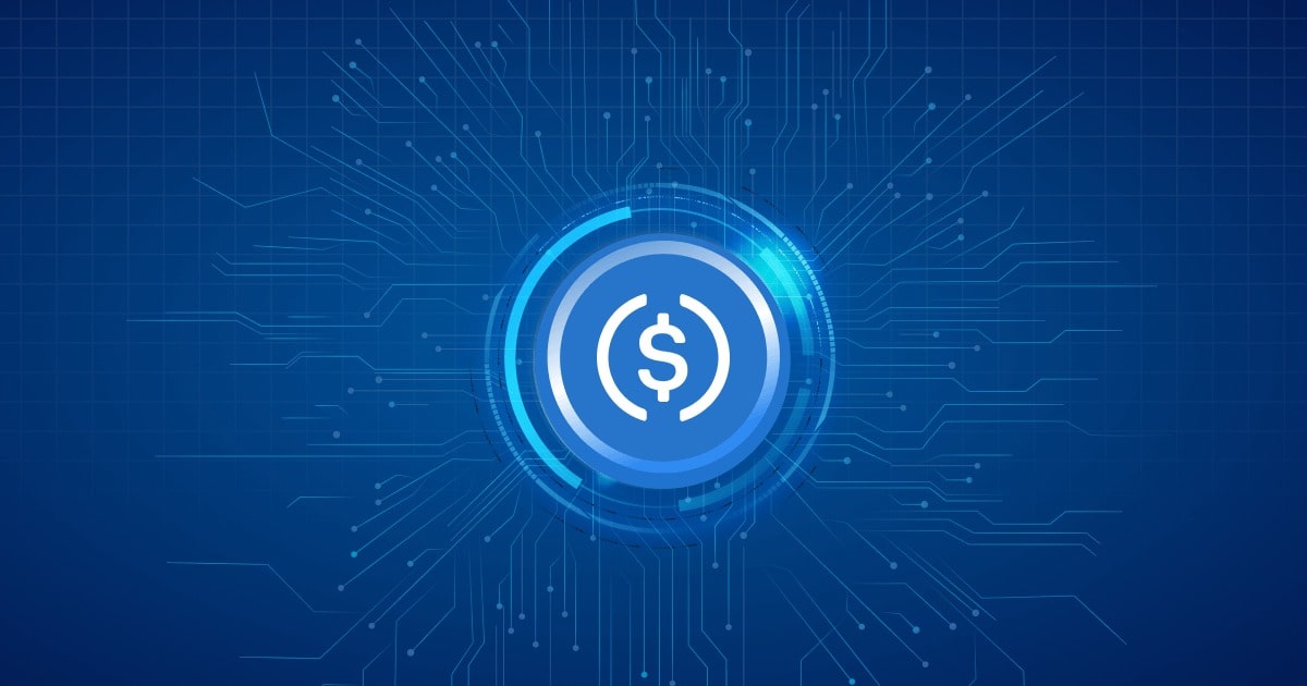 Ilustrasi stablecoin USDC. Sumber: Mudrex.
