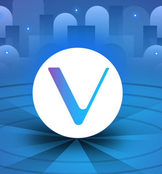 Mengenal VeChain (VET). Sumber; Binance Academy.