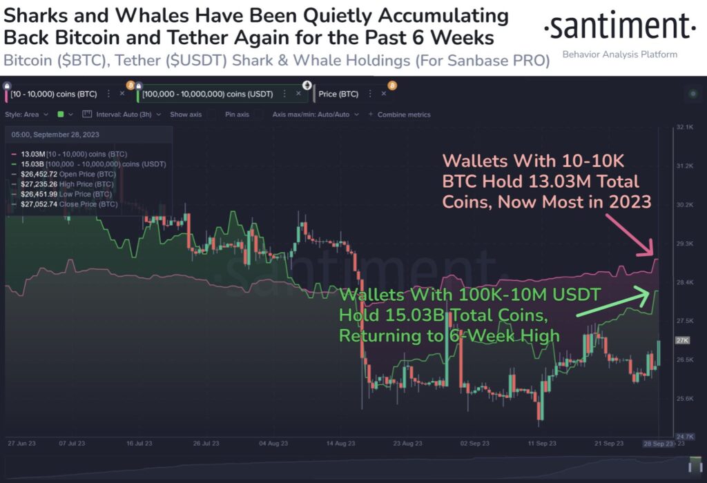 Data Santiment tentang pergerakan whale Bitcoin. Sumber: Santiment