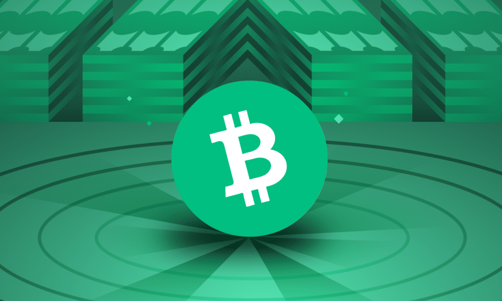 Apa Itu Bitcoin Cash (BCH). Sumber; Binance Academy.