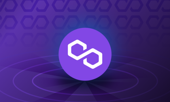 Apa Itu Polygon (MATIC). Sumber; Binance Academy.