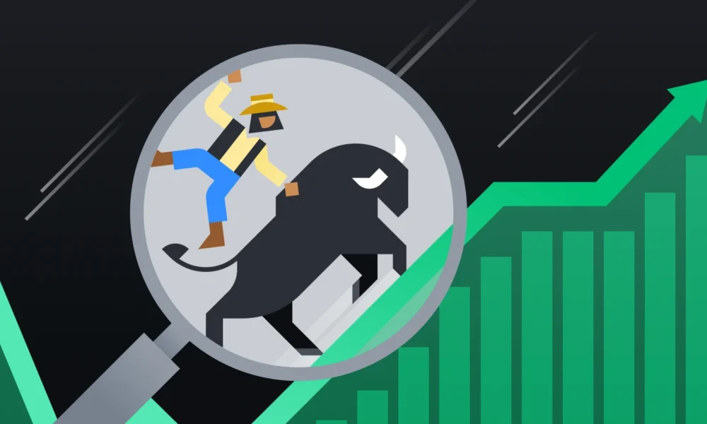 Apa yang Dimaksud dengan Bull Market. Sumber; Binance Academy.