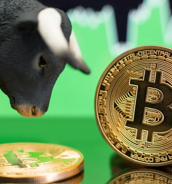 Ilustrasi market kripto bullish. Sumber: Shutterstocks.