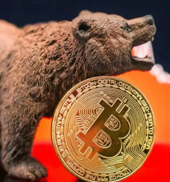 Ilustrasi bear market.