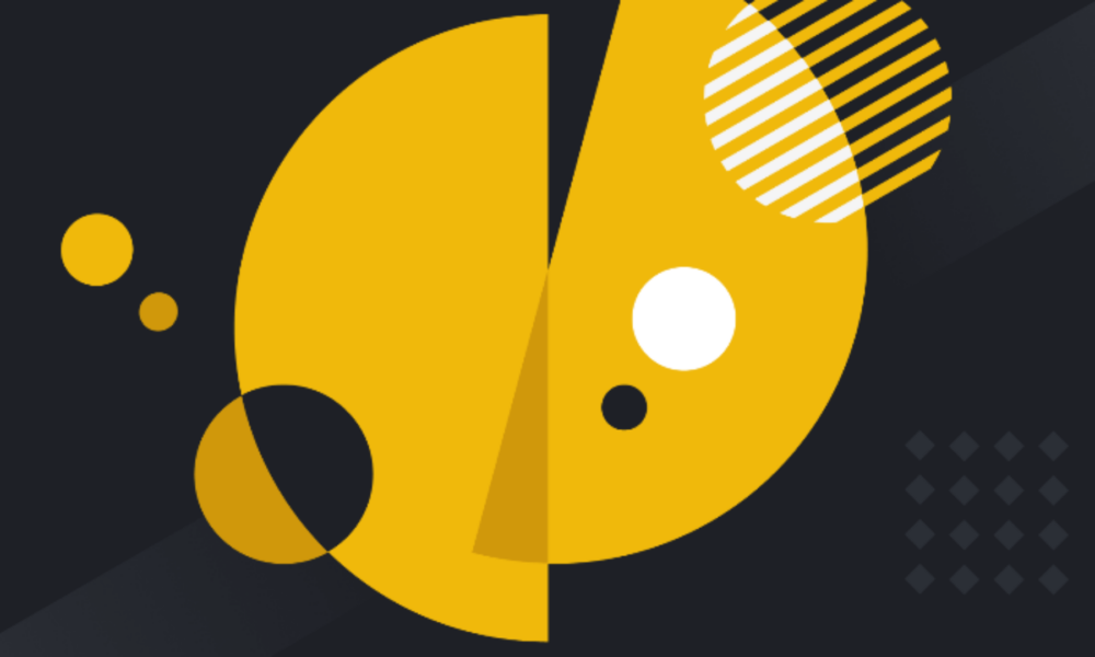 Apa yang Dimaksud dengan Alokasi dan Diversifikasi Aset? Sumber; Binance Academy.