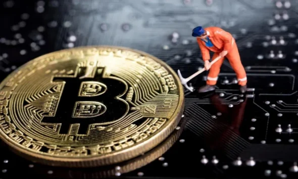 Ilustrasi Bitcoin. Sumber: Shutterstock.