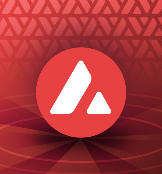 Apa yang Diketahui tentang Avalanche (AVAX). Sumber; Binance Academy.