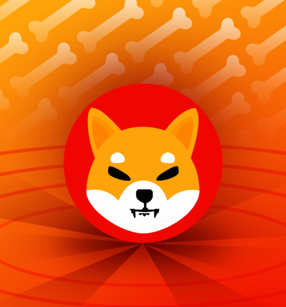 Apa Itu Shiba Inu (SHIB). Sumber; Binance Academy.