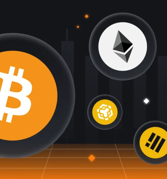 Apa yang Dimaksud dengan Dominasi Bitcoin? Sumber; Binance Academy.