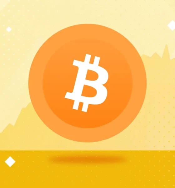 Mengapa Bitcoin Memiliki Nilai? Sumber; Binance Academy.