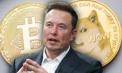 Elon Musk usul Twitter dan Tesla terima pembayaran pakai Dogecoin. Foto: PCmag.