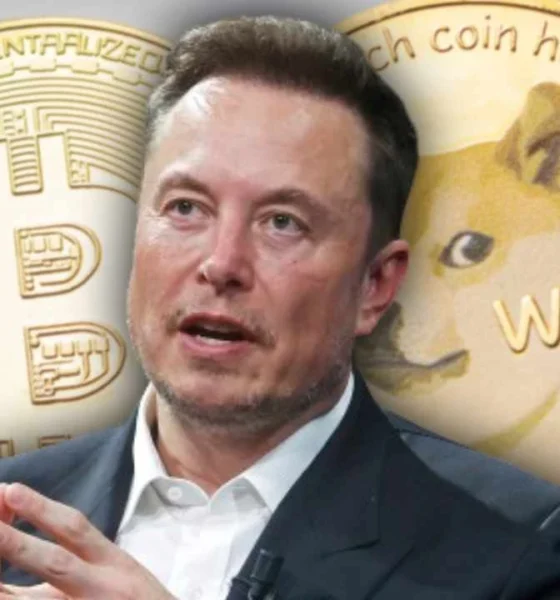 Elon Musk usul Twitter dan Tesla terima pembayaran pakai Dogecoin. Foto: PCmag.