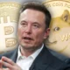 Elon Musk usul Twitter dan Tesla terima pembayaran pakai Dogecoin. Foto: PCmag.