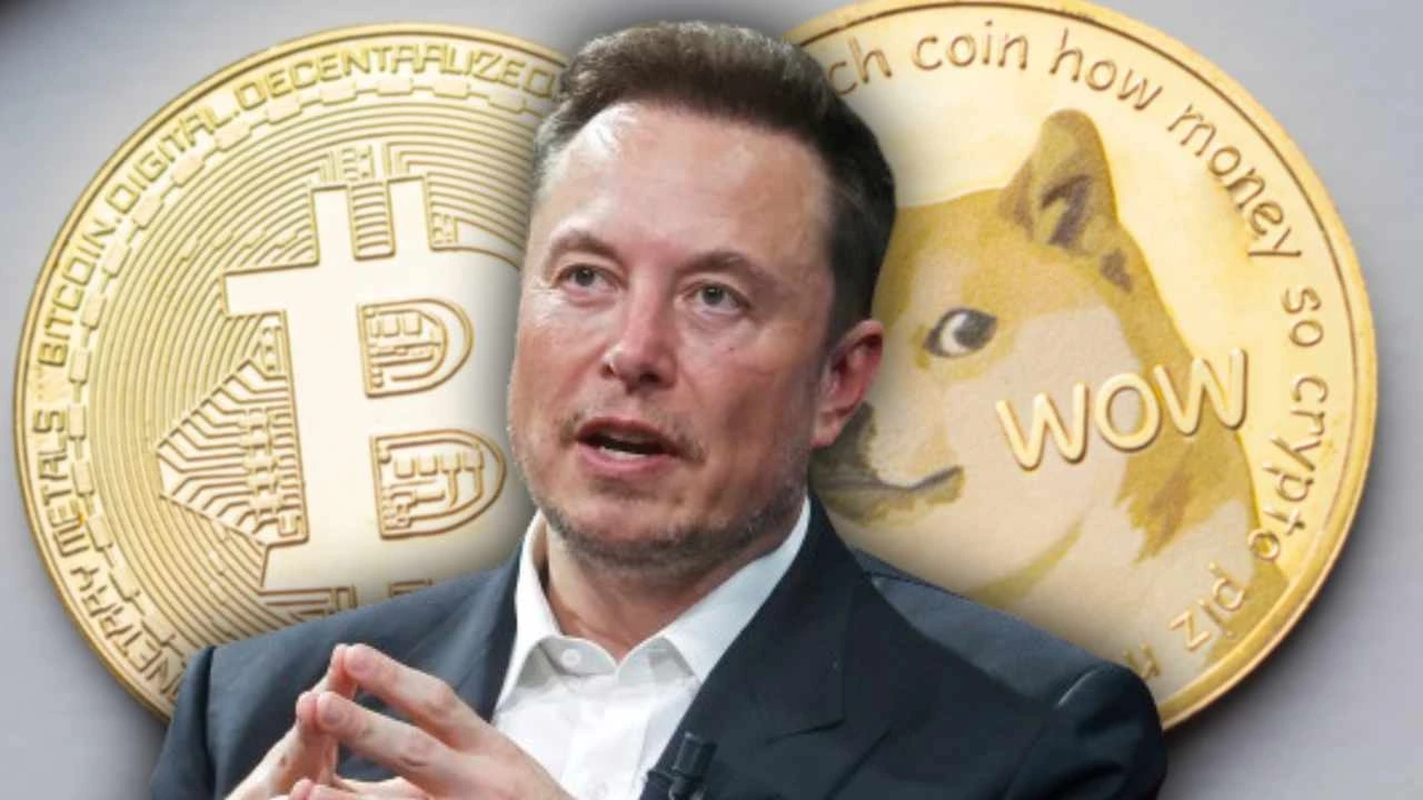 Elon Musk usul Twitter dan Tesla terima pembayaran pakai Dogecoin. Foto: PCmag.