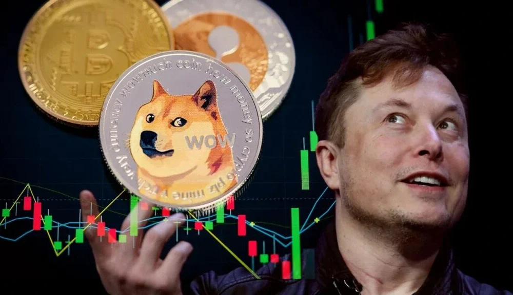 Elon Musk usul Twitter dan Tesla terima pembayaran pakai Dogecoin. Foto: PCmag.