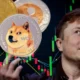 Elon Musk usul Twitter dan Tesla terima pembayaran pakai Dogecoin. Foto: PCmag.