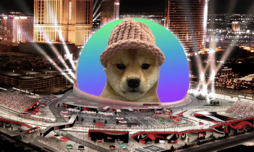 Memecoin seperti dogwifhat.